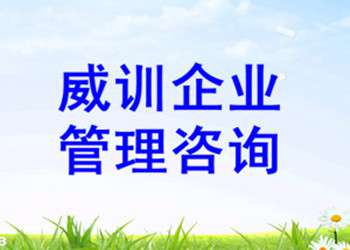 威訓企業管理咨詢 專業企業形象策劃的卓越選擇